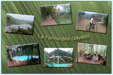 Cliquez pour agrandir l'image Cliquez pour agrandir l'image